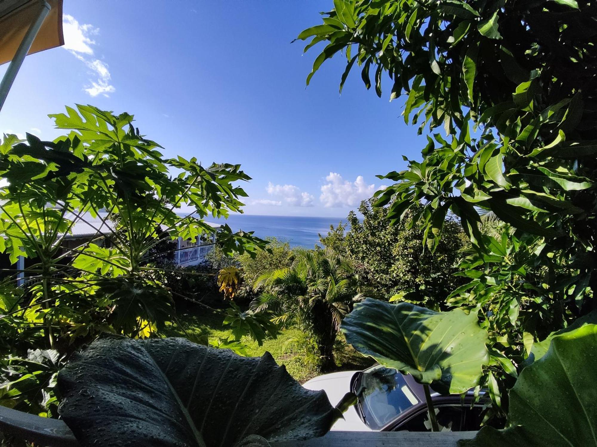 Bungalow With Sea View In Deshaies Δωμάτιο φωτογραφία